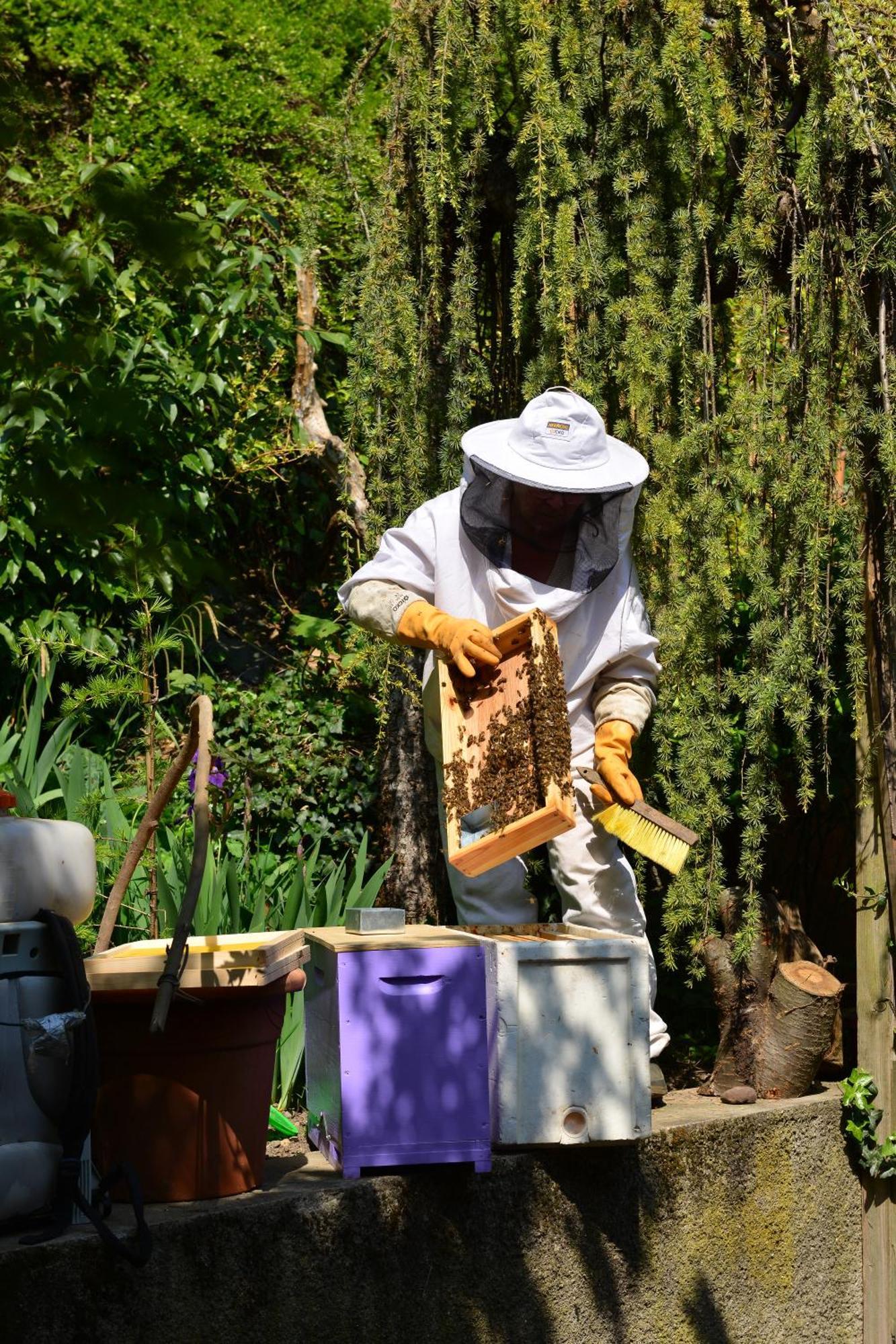 Le Jardin De La Tuilerie Alsace Hotel Pfastatt Ngoại thất bức ảnh