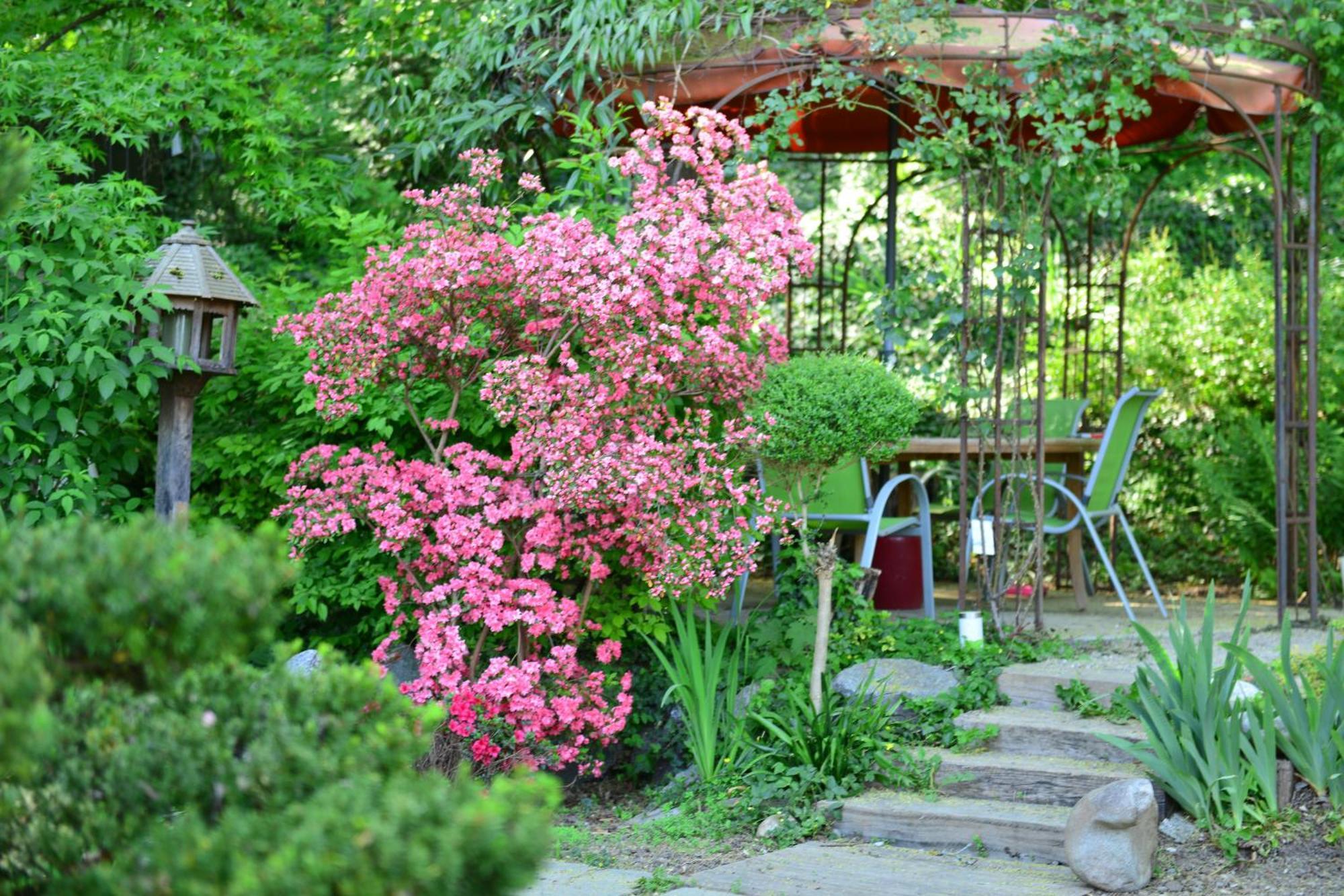 Le Jardin De La Tuilerie Alsace Hotel Pfastatt Ngoại thất bức ảnh