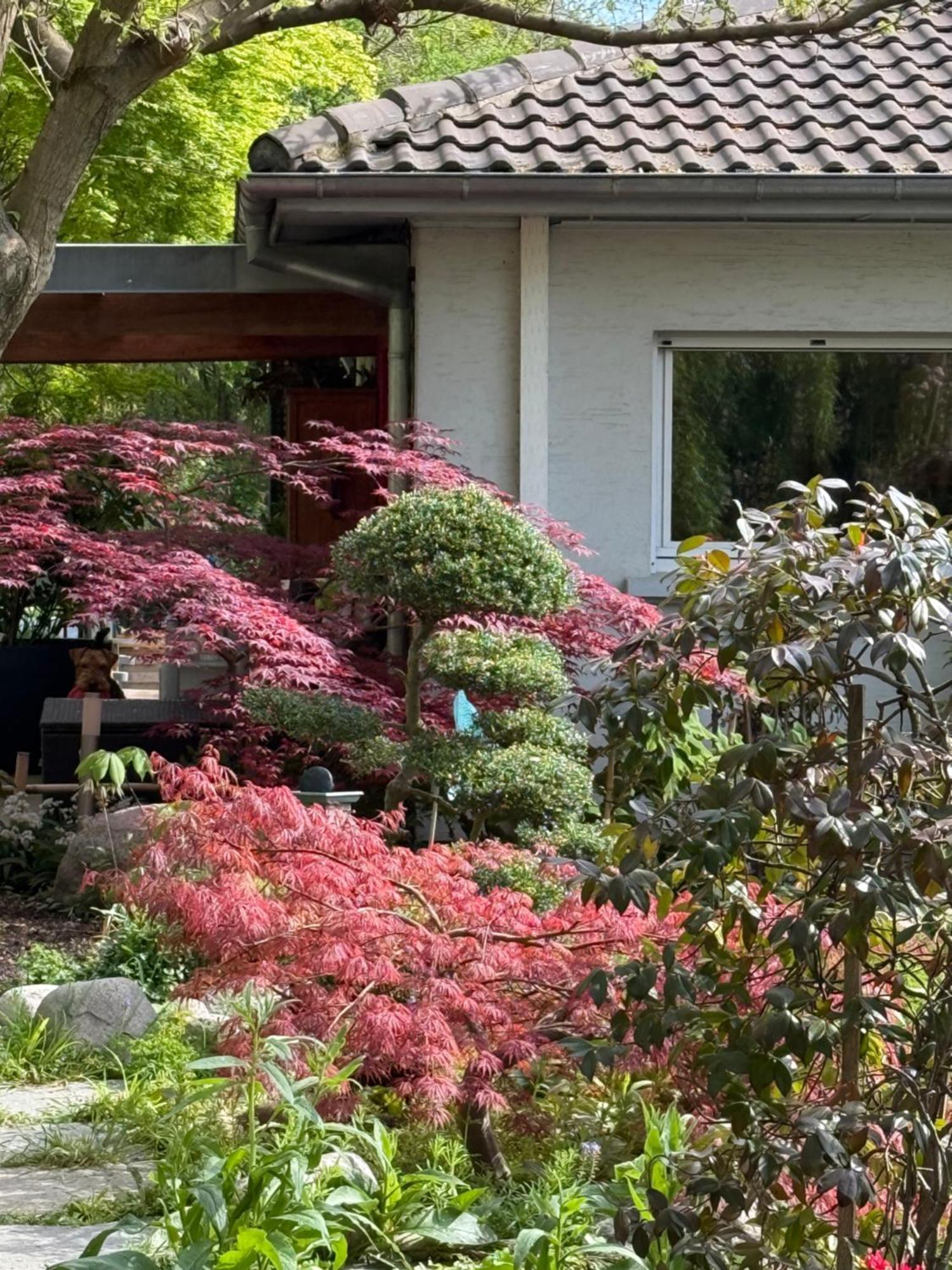 Le Jardin De La Tuilerie Alsace Hotel Pfastatt Ngoại thất bức ảnh
